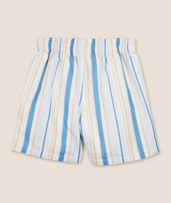 Swim Shorts No. 33  Stripes Print