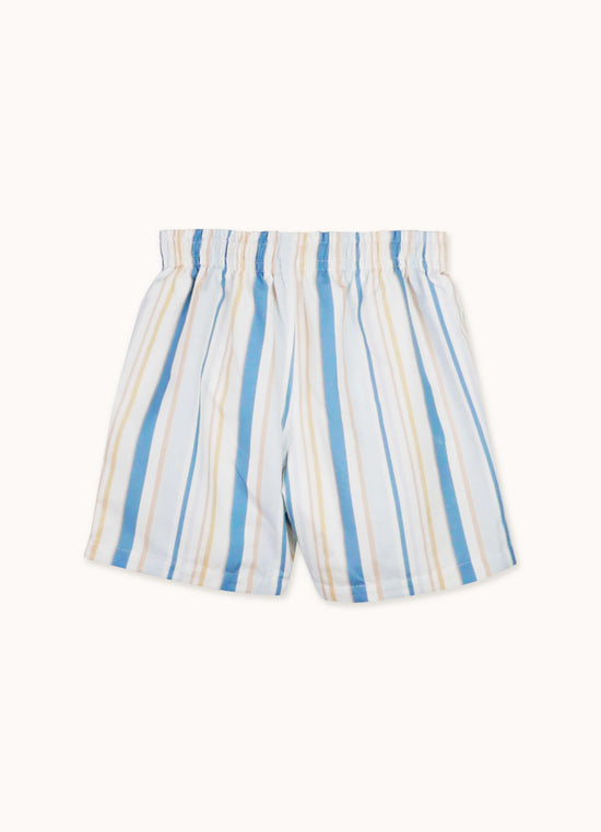 Load image into Gallery viewer, Swim Shorts No. 33  Stripes Print
